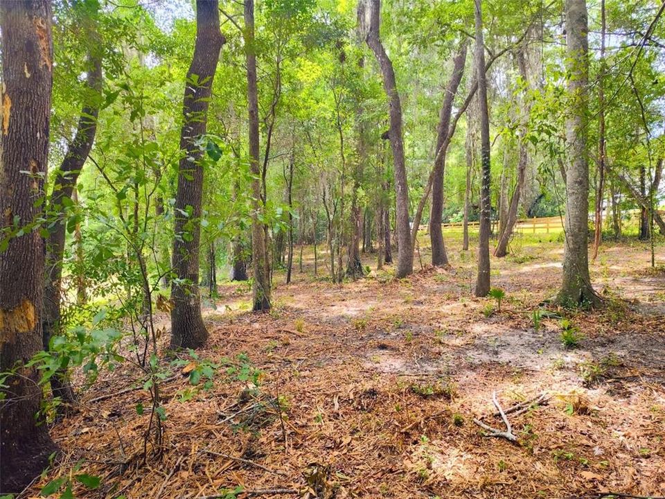 For Sale: $50,000 (0.30 acres)