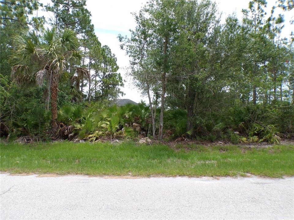 For Sale: $16,990 (0.23 acres)