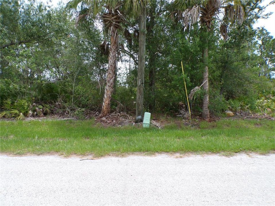 For Sale: $16,990 (0.23 acres)