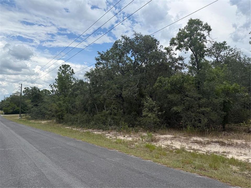 For Sale: $50,000 (1.17 acres)