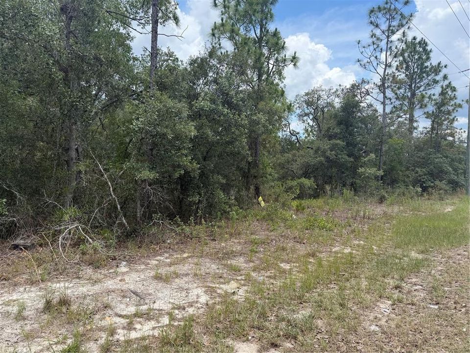 For Sale: $50,000 (1.17 acres)