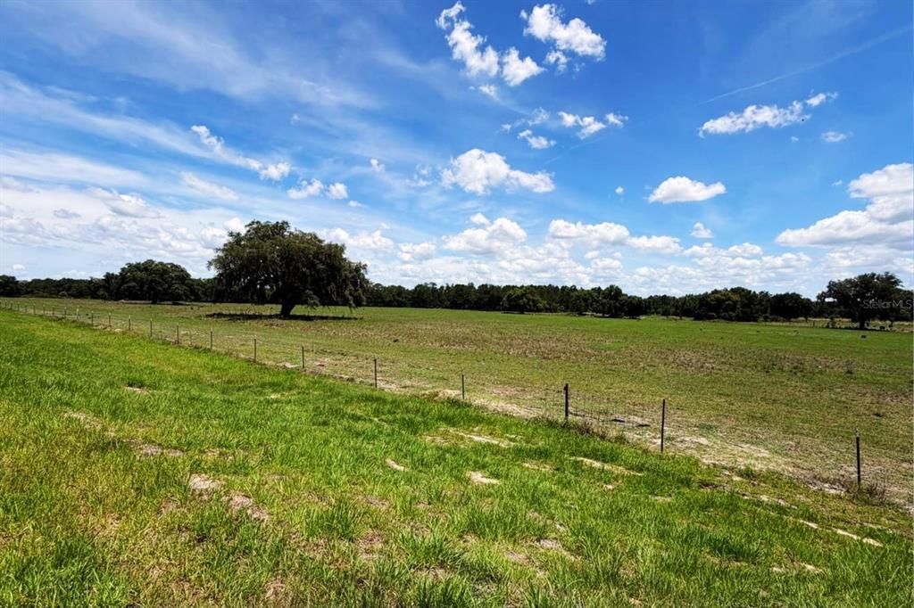 For Rent: $2,300 (3 beds, 2 baths, 1843 Square Feet)