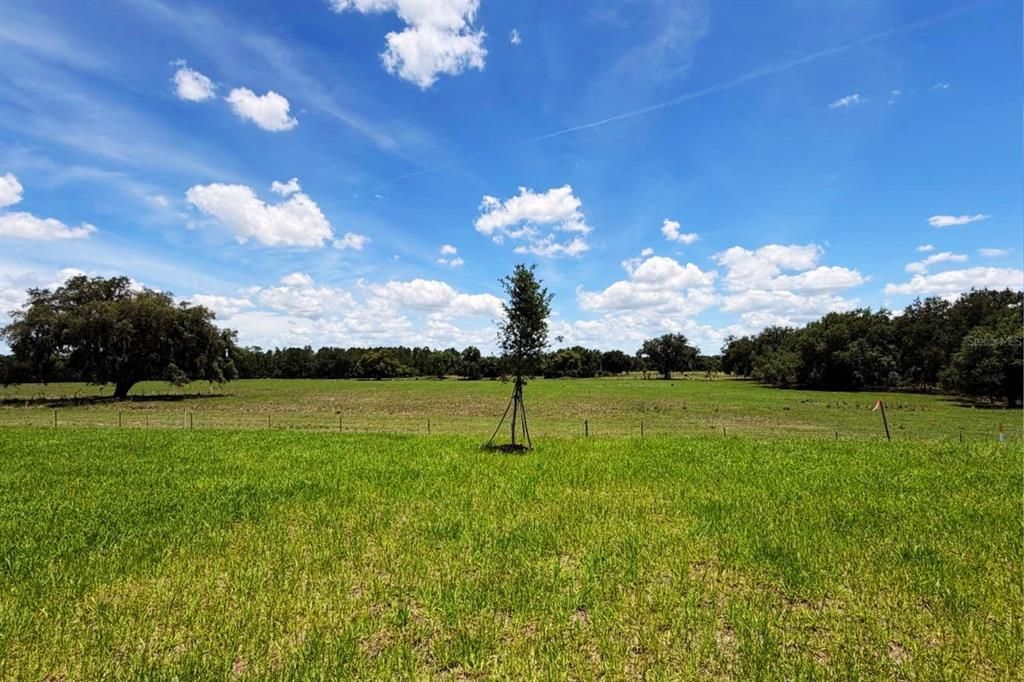 For Rent: $2,300 (3 beds, 2 baths, 1843 Square Feet)