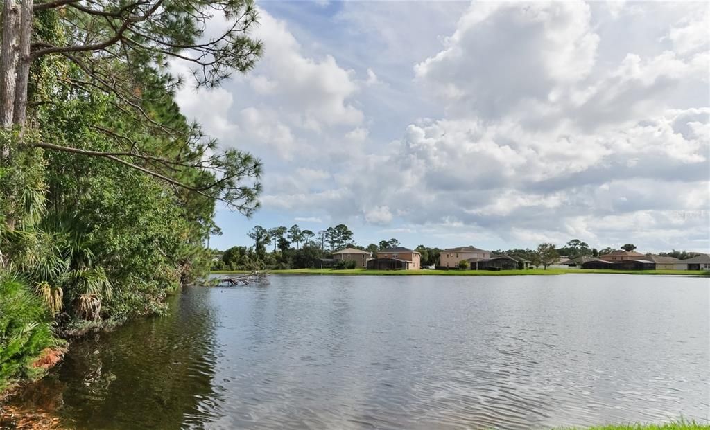 For Rent: $2,750 (4 beds, 2 baths, 2009 Square Feet)