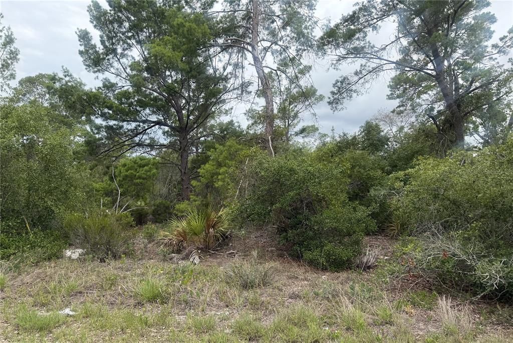 For Sale: $18,599 (0.23 acres)