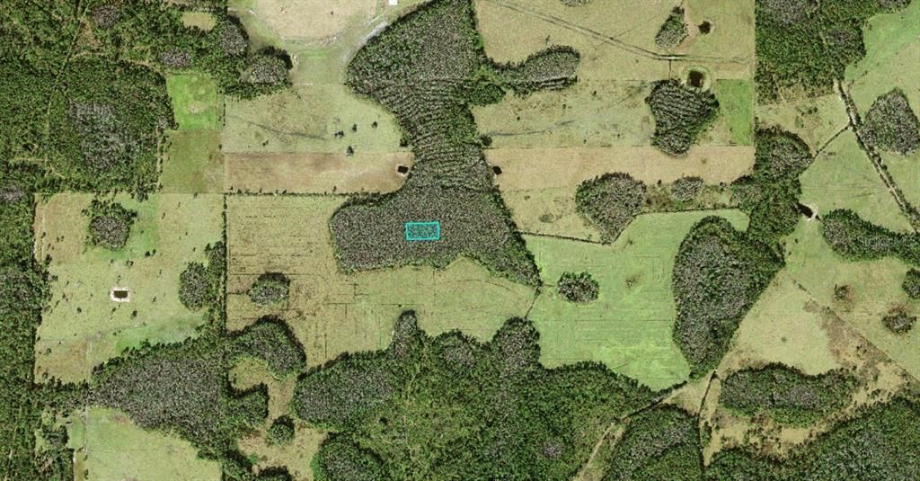 For Sale: $9,900 (1.25 acres)