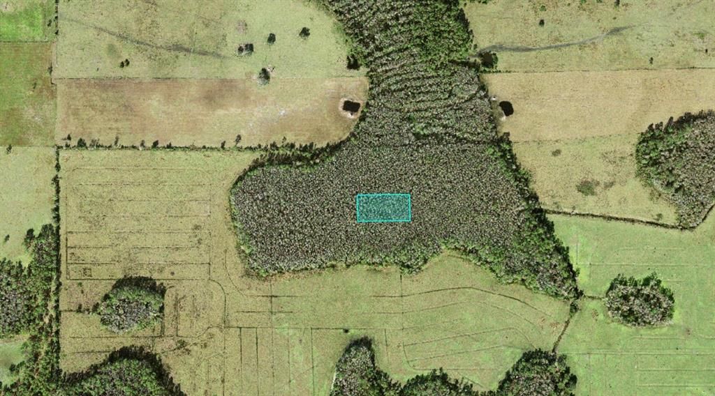 For Sale: $9,900 (1.25 acres)