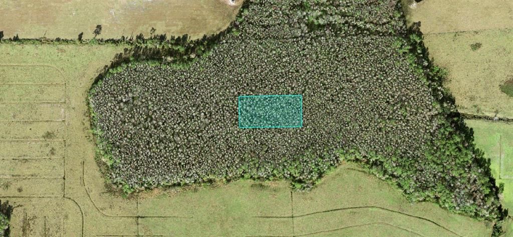 For Sale: $9,900 (1.25 acres)