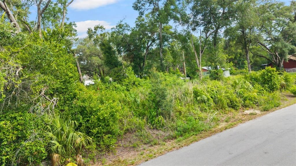 For Sale: $59,000 (0.22 acres)