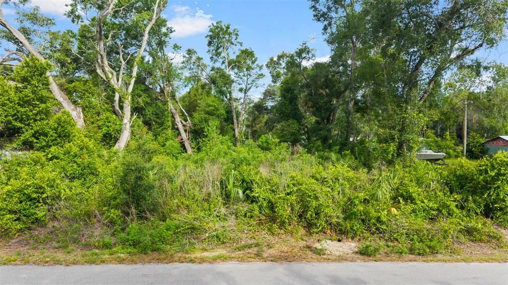 For Sale: $59,000 (0.22 acres)