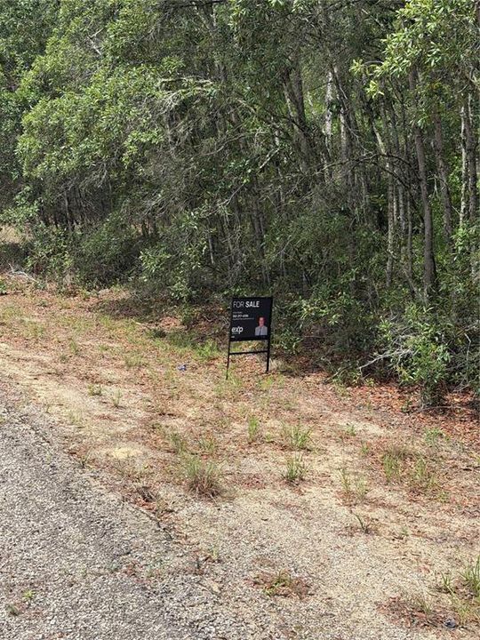 На продажу: $26,000 (0.55 acres)