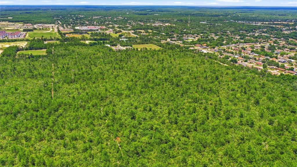 For Sale: $950,000 (3.13 acres)