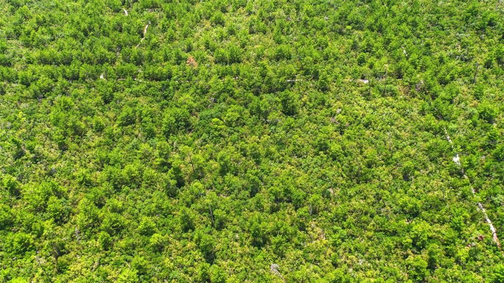 For Sale: $950,000 (3.13 acres)