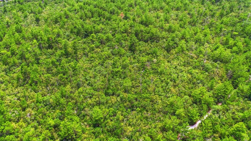 For Sale: $950,000 (3.13 acres)