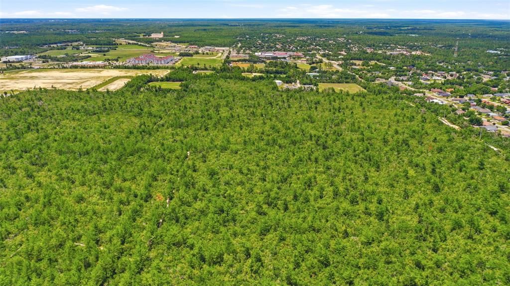 For Sale: $950,000 (3.13 acres)
