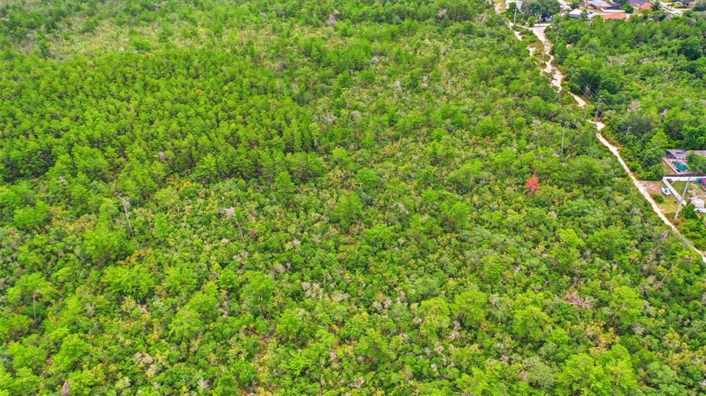 For Sale: $147,500 (0.76 acres)