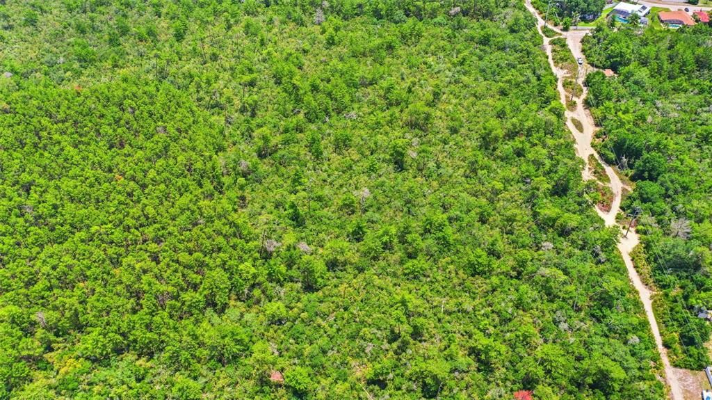 For Sale: $74,000 (0.38 acres)