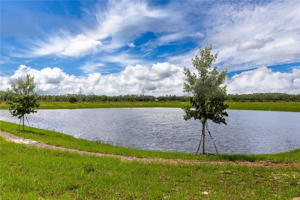For Rent: $2,350 (3 beds, 2 baths, 2225 Square Feet)