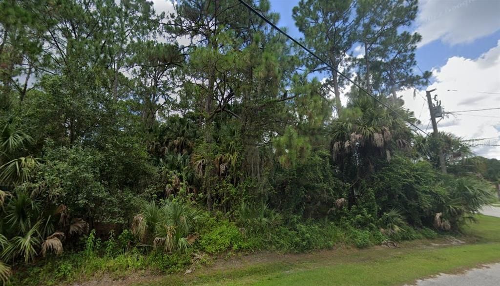 For Sale: $28,900 (0.23 acres)