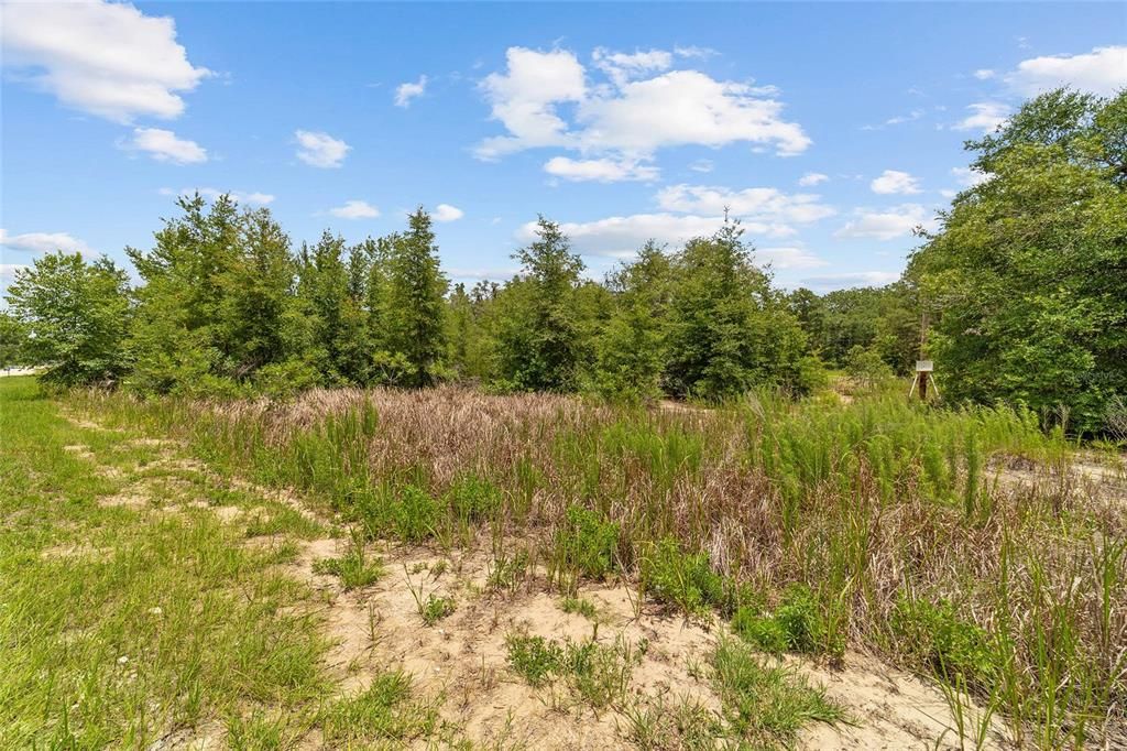 For Sale: $36,000 (0.46 acres)