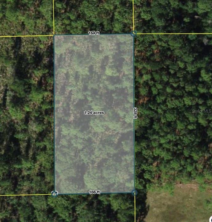 待售: $26,000 (1.24 acres)