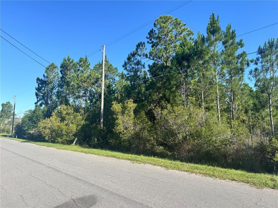 Active With Contract: $154,999 (1.24 acres)