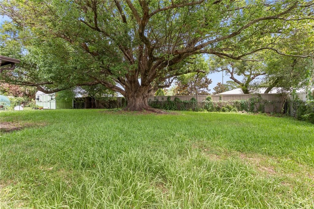 For Sale: $339,999 (3 beds, 2 baths, 1690 Square Feet)