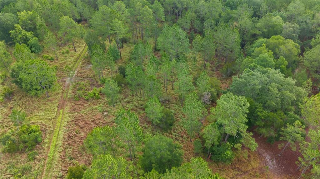 En Venta: $275,000 (26.14 acres)