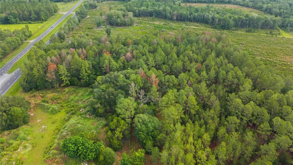 En Venta: $275,000 (26.14 acres)