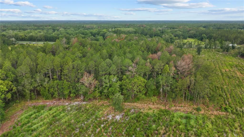 En Venta: $275,000 (26.14 acres)