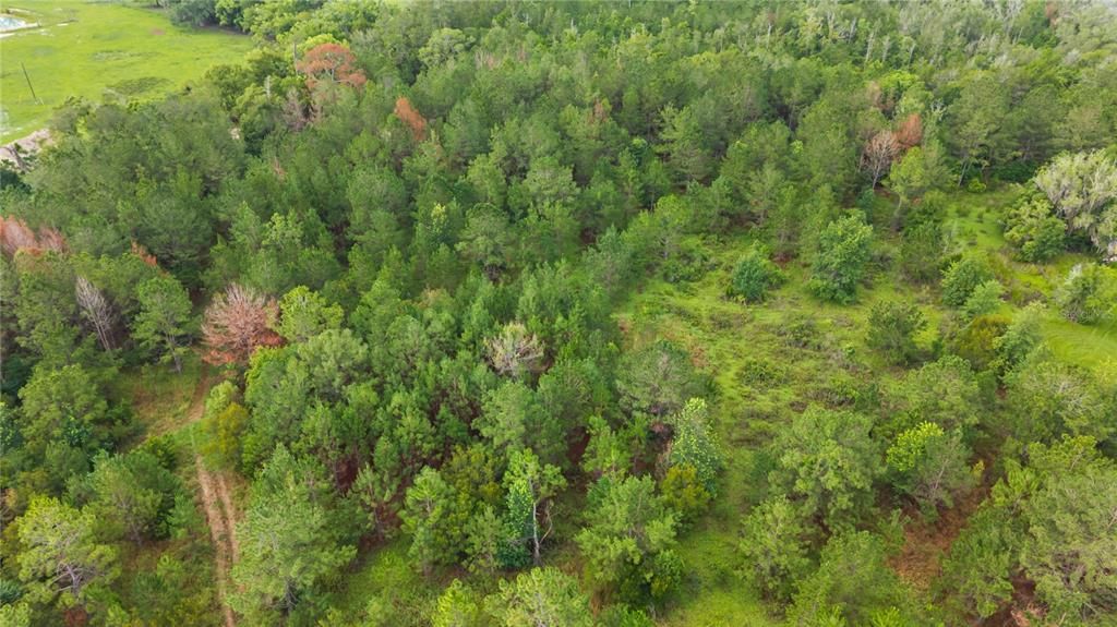 En Venta: $275,000 (26.14 acres)