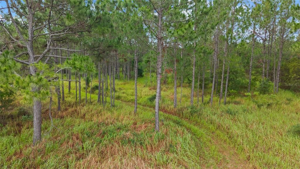 En Venta: $275,000 (26.14 acres)
