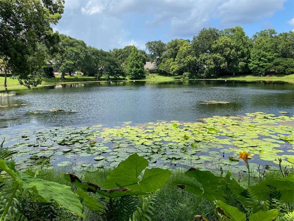 待售: $1,595,000 (0.41 acres)