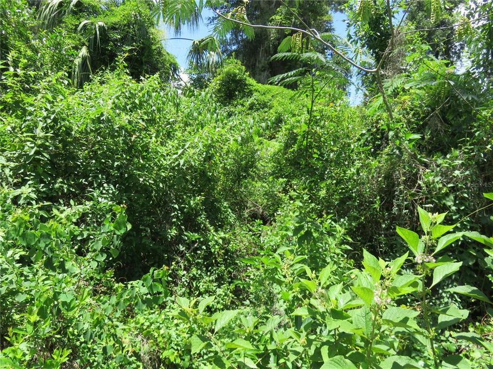 For Sale: $27,000 (0.23 acres)
