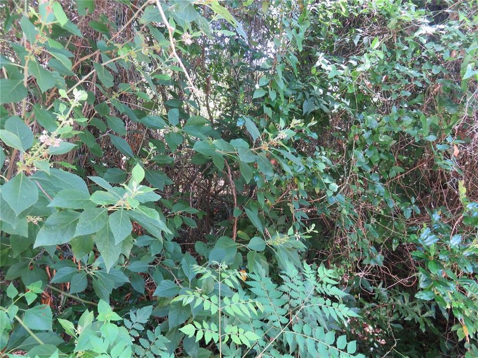 For Sale: $27,000 (0.23 acres)