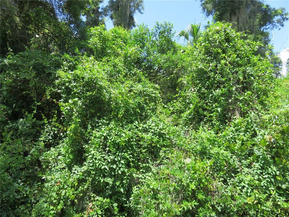 For Sale: $27,000 (0.23 acres)