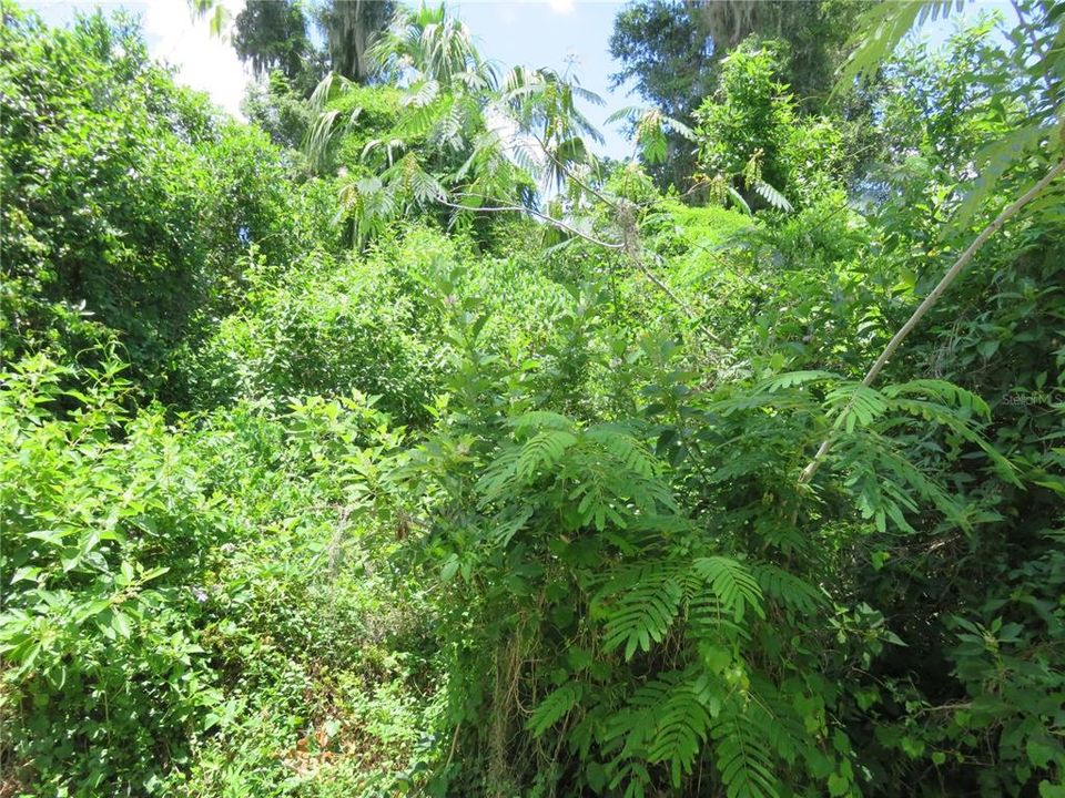 For Sale: $27,000 (0.23 acres)