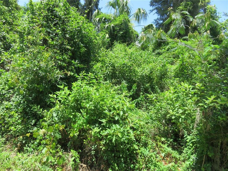 For Sale: $27,000 (0.23 acres)