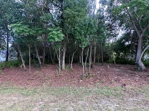 待售: $78,000 (0.22 acres)