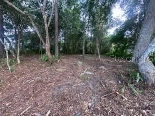 待售: $78,000 (0.22 acres)