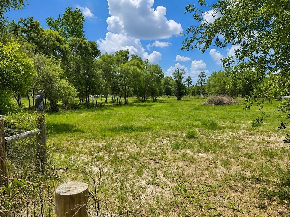 For Sale: $150,000 (1.25 acres)