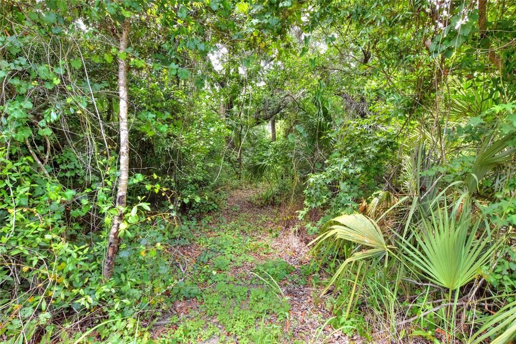 For Sale: $400,000 (5.00 acres)