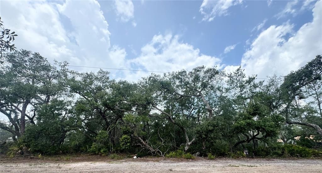 En Venta: $75,000 (3.00 acres)