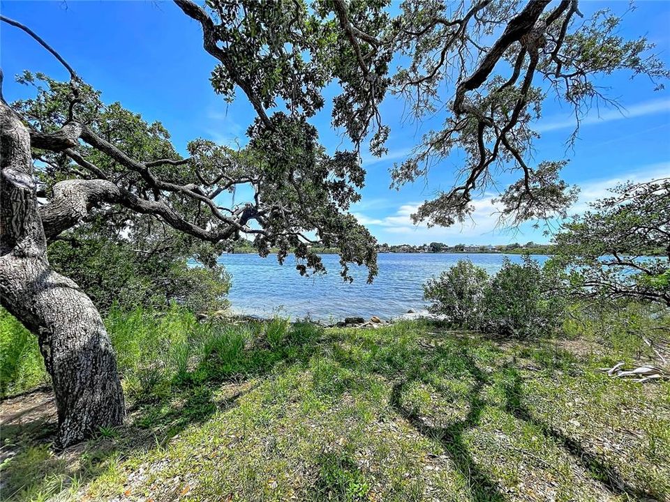 На продажу: $975,000 (1.31 acres)