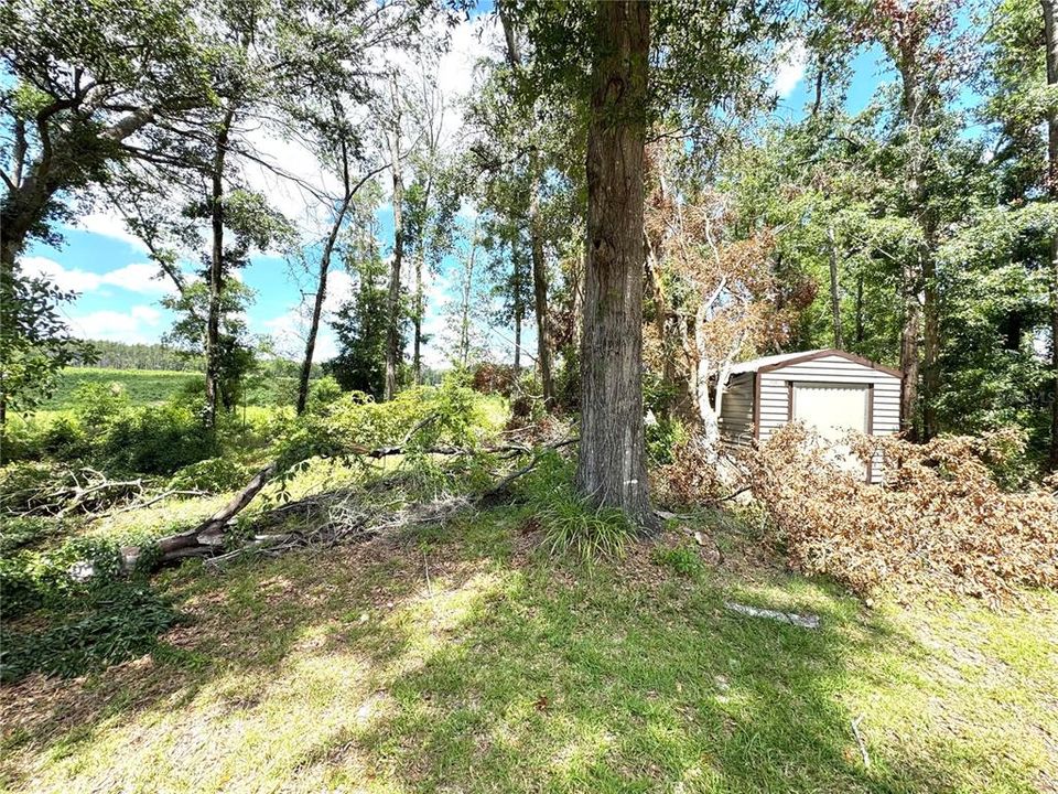 For Sale: $359,000 (3 beds, 2 baths, 2240 Square Feet)
