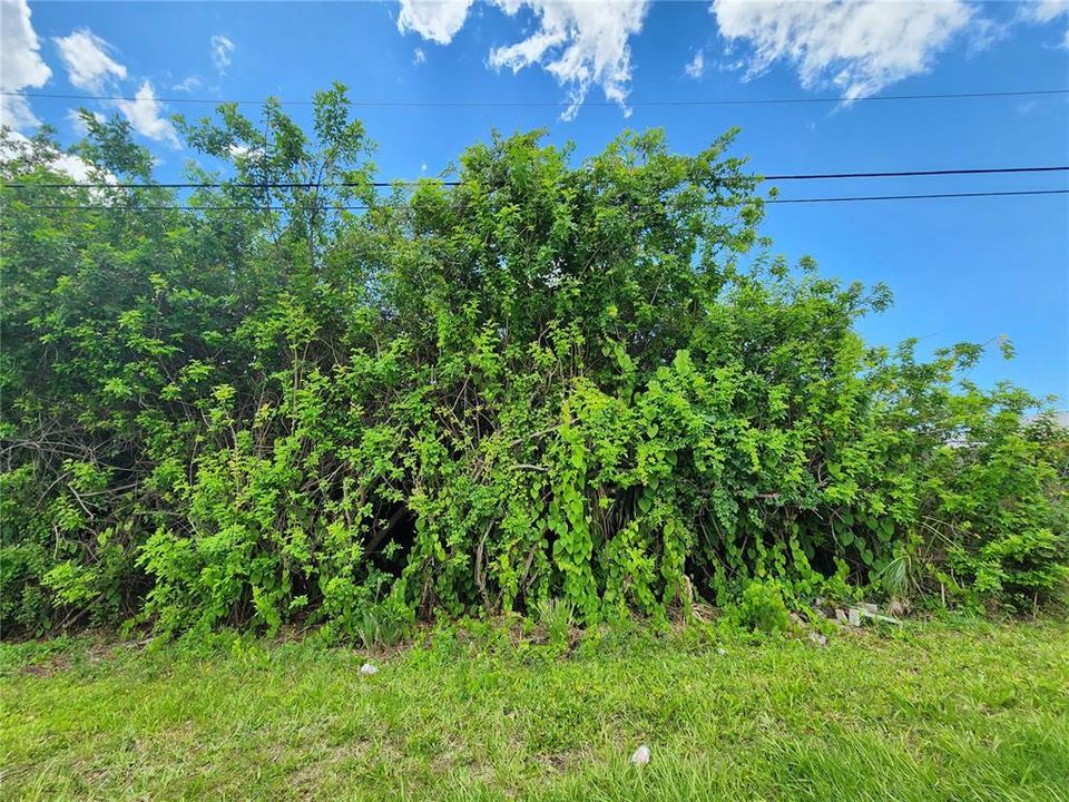 For Sale: $40,000 (0.23 acres)