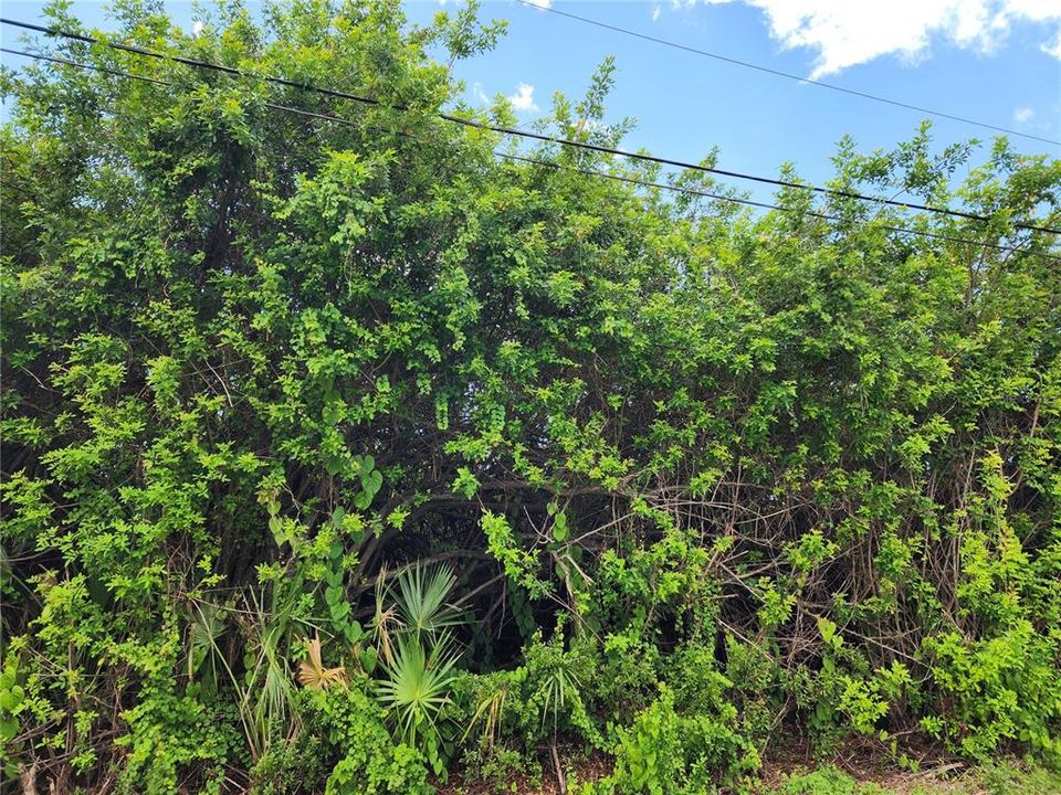 For Sale: $40,000 (0.23 acres)