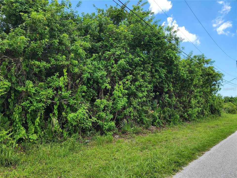 For Sale: $40,000 (0.23 acres)