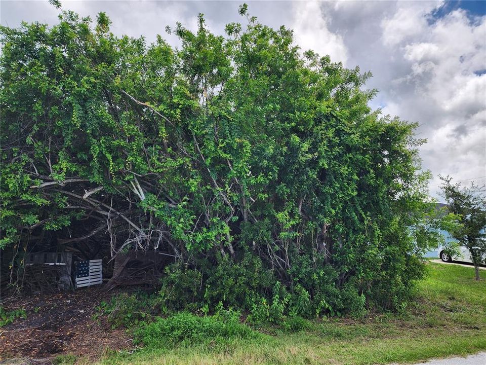 For Sale: $40,000 (0.23 acres)