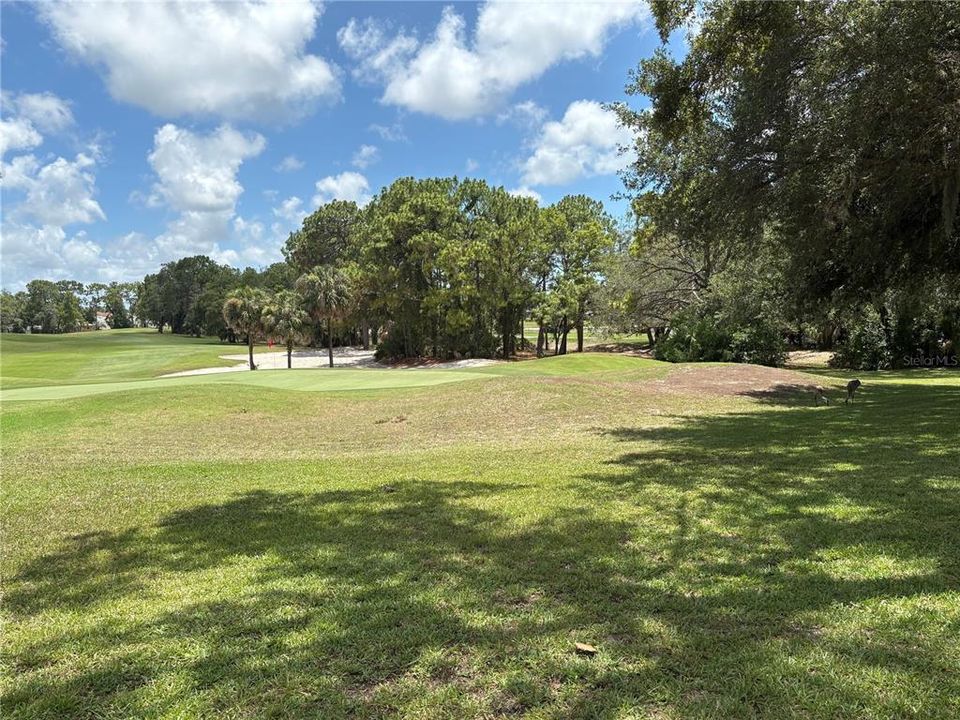 For Sale: $362,800 (3 beds, 2 baths, 1589 Square Feet)
